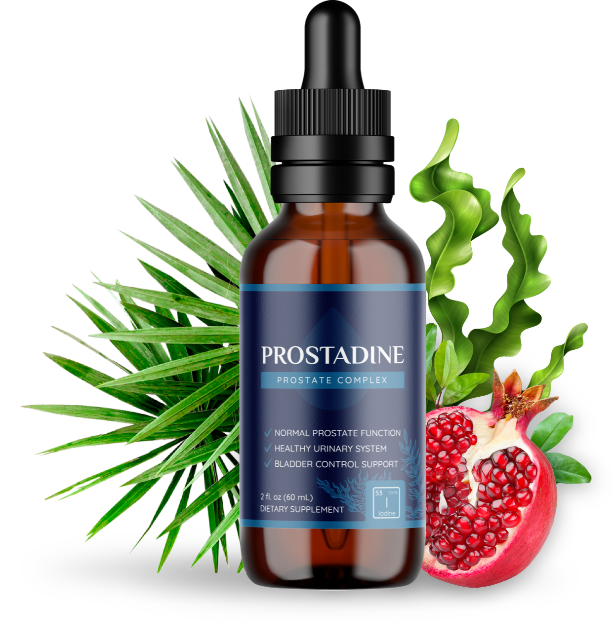 ProstaDine - Healthy Prostate